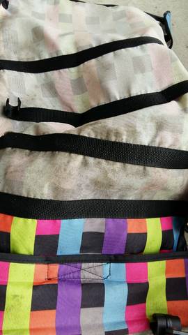 journal_insert_pic_600617592