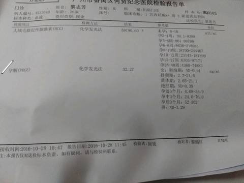 journal_insert_pic_600569294