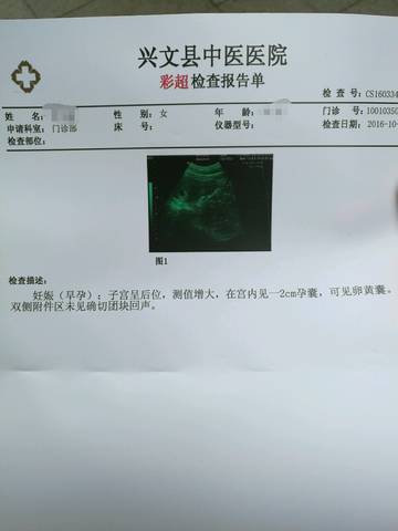 journal_insert_pic_600926441