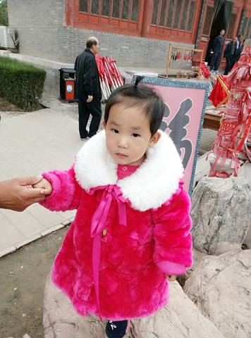 journal_insert_pic_601457514