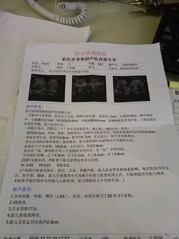 journal_insert_pic_601095758