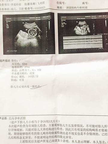 journal_insert_pic_601225754