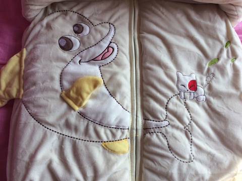 journal_insert_pic_601925974