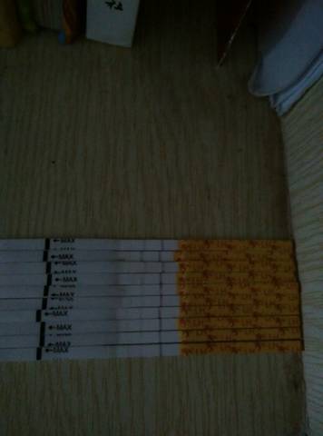 journal_insert_pic_602660315