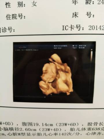 journal_insert_pic_602776074