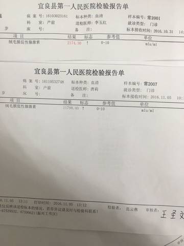 journal_insert_pic_603567909