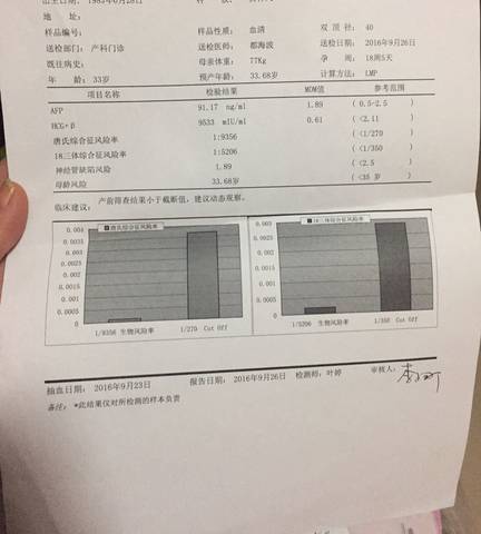 journal_insert_pic_603707763