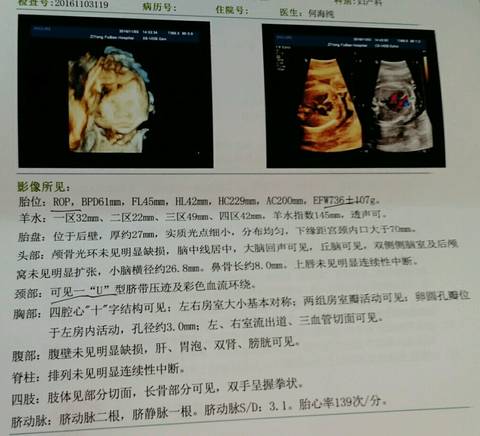 journal_insert_pic_603598202