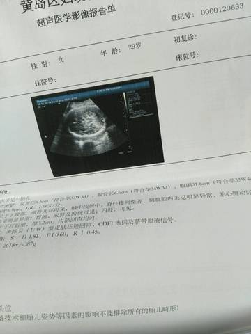 journal_insert_pic_603740986