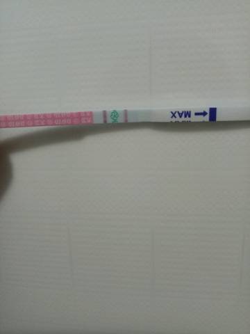 journal_insert_pic_604300552