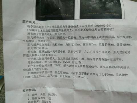 journal_insert_pic_604092366