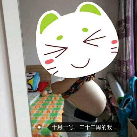 journal_insert_pic_604856355