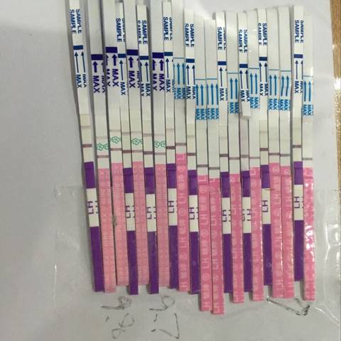 journal_insert_pic_605604916