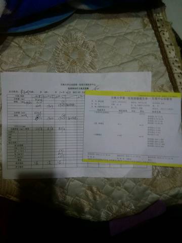 journal_insert_pic_606894974