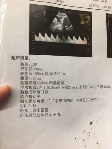 journal_insert_pic_608387862