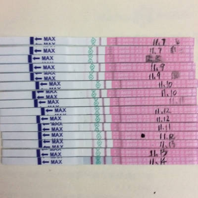 journal_insert_pic_608613503