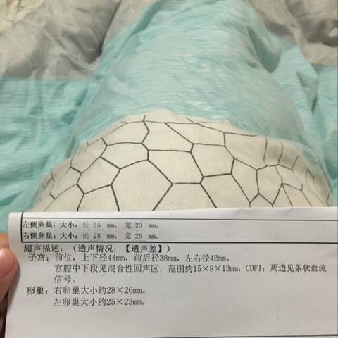 journal_insert_pic_608527077
