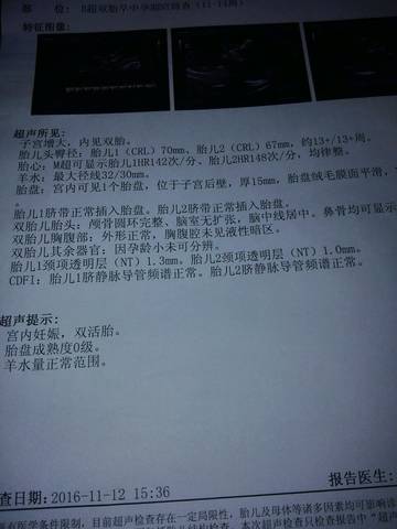 journal_insert_pic_609204817