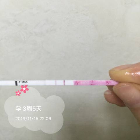 journal_insert_pic_609648662