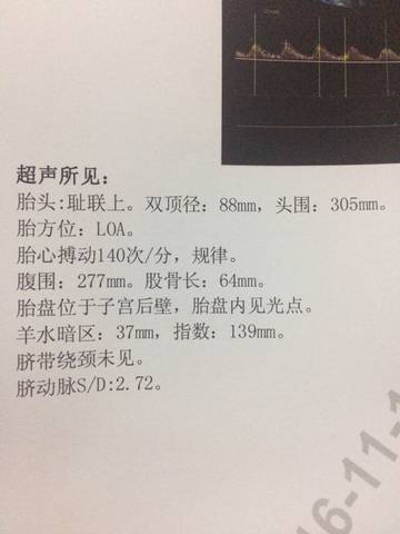 journal_insert_pic_609752950
