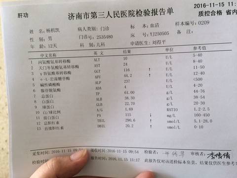 journal_insert_pic_610291257