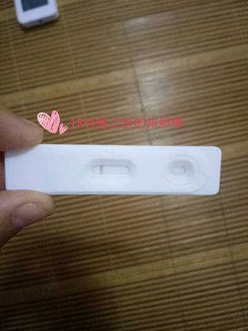 journal_insert_pic_611235703