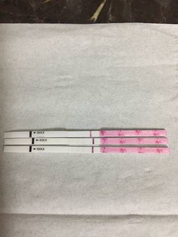 journal_insert_pic_611123925