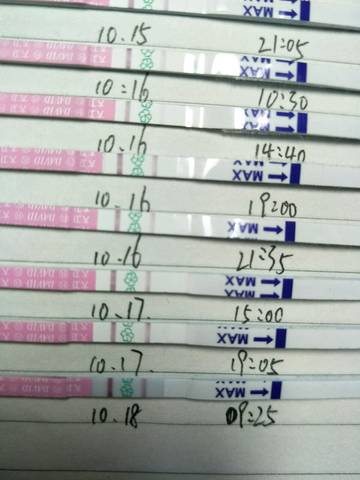 journal_insert_pic_611030378