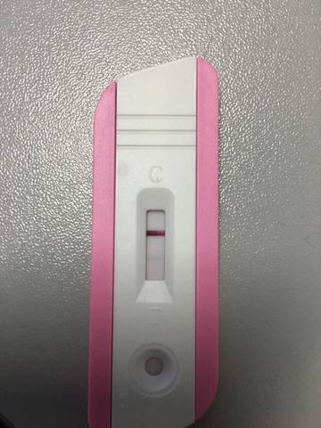 journal_insert_pic_610959929