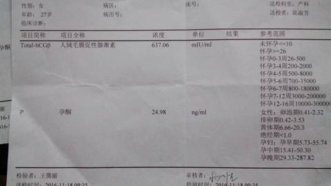 journal_insert_pic_611174889