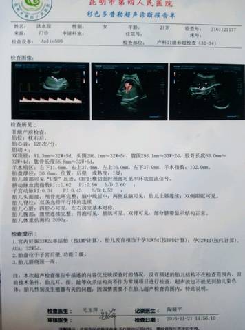 journal_insert_pic_612723621