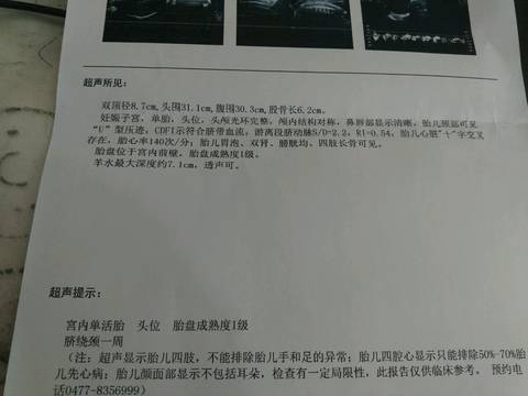 journal_insert_pic_612618955