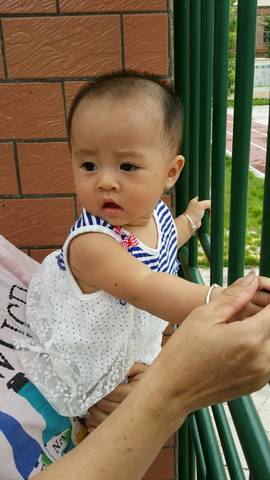 journal_insert_pic_612918264