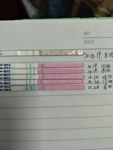 journal_insert_pic_612809895