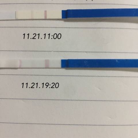 journal_insert_pic_612808217