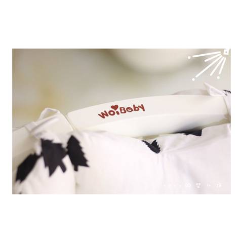 journal_insert_pic_616068655
