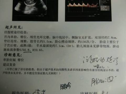 journal_insert_pic_616310386