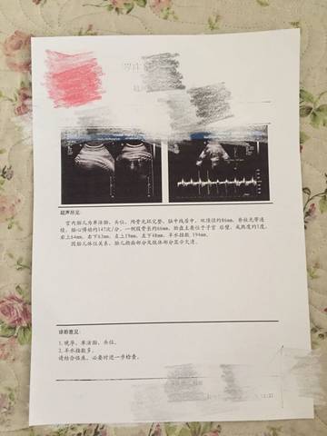 journal_insert_pic_617201453