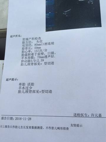 journal_insert_pic_616816433