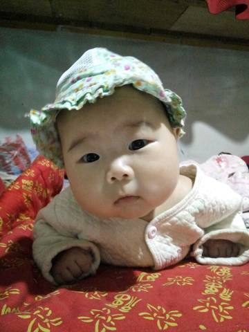 journal_insert_pic_618760338