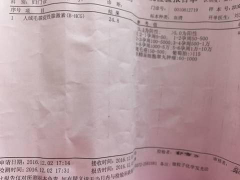 journal_insert_pic_619013657