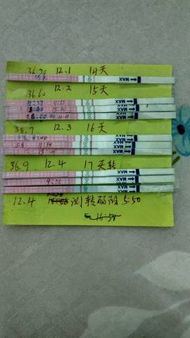 journal_insert_pic_619996950