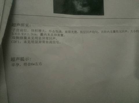 journal_insert_pic_620546094