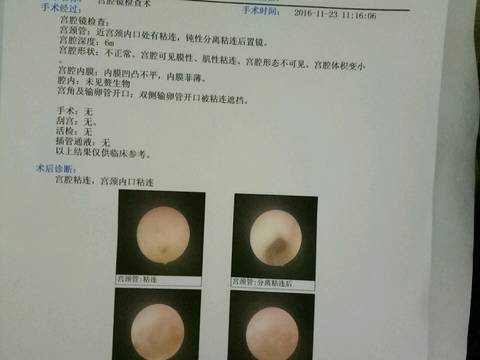 journal_insert_pic_623131117