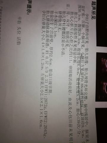 journal_insert_pic_622969279