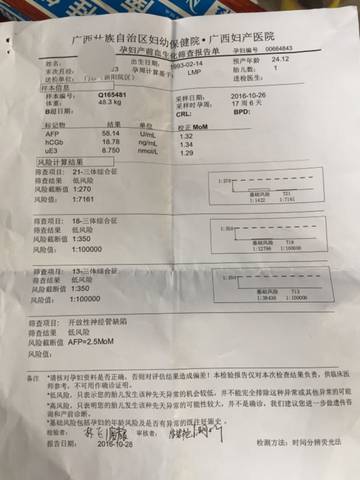 journal_insert_pic_623128261