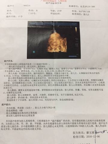 journal_insert_pic_623128167