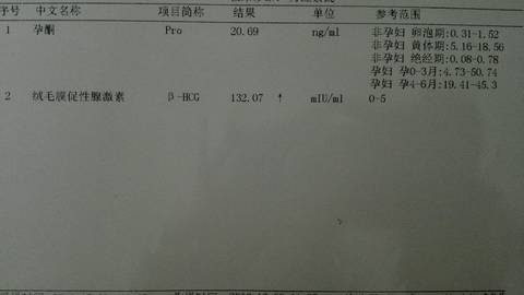 journal_insert_pic_623091530