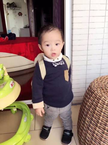 journal_insert_pic_623312815