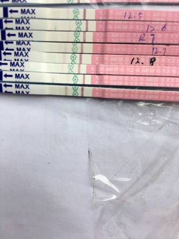 journal_insert_pic_623495335